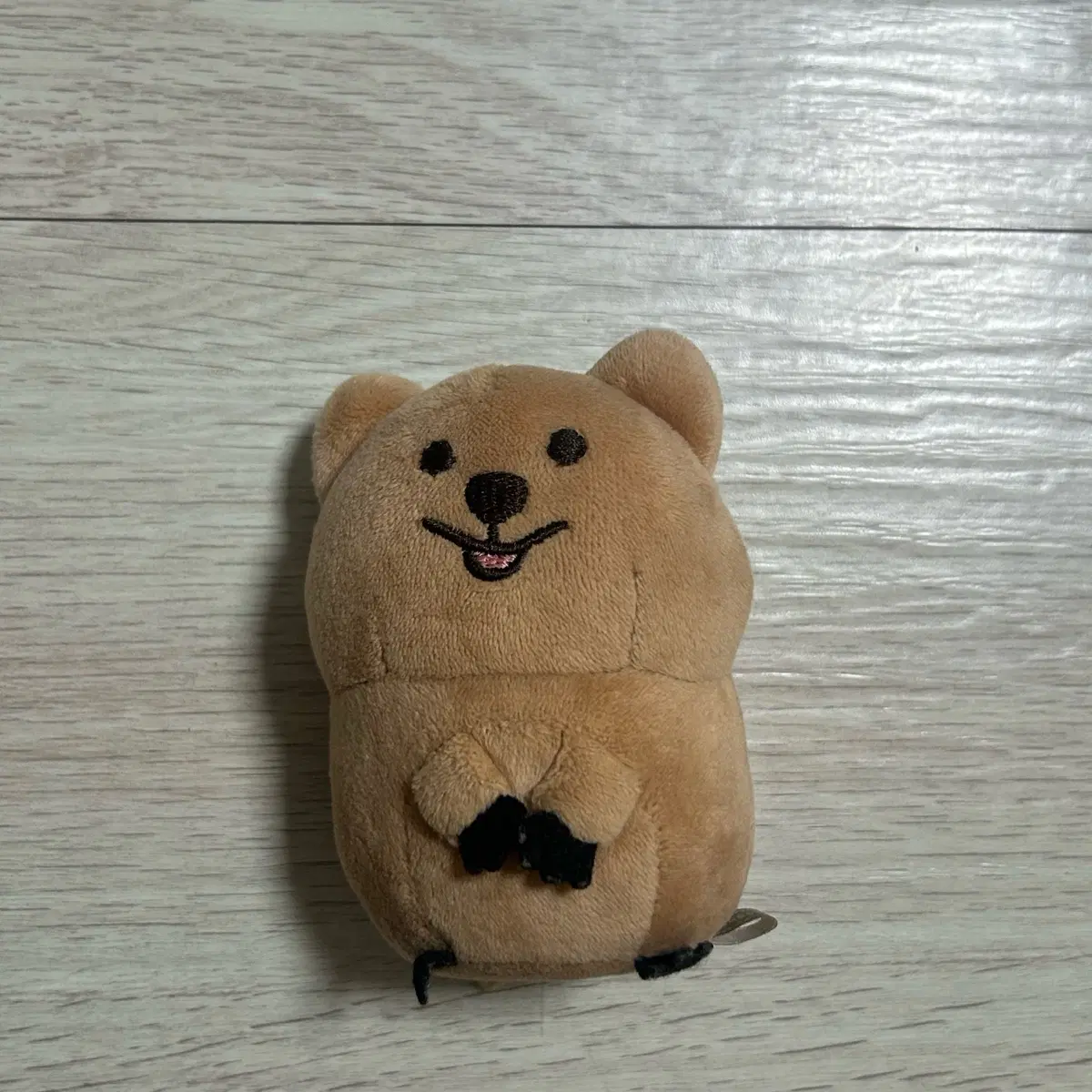 쿼카 스트레스볼
