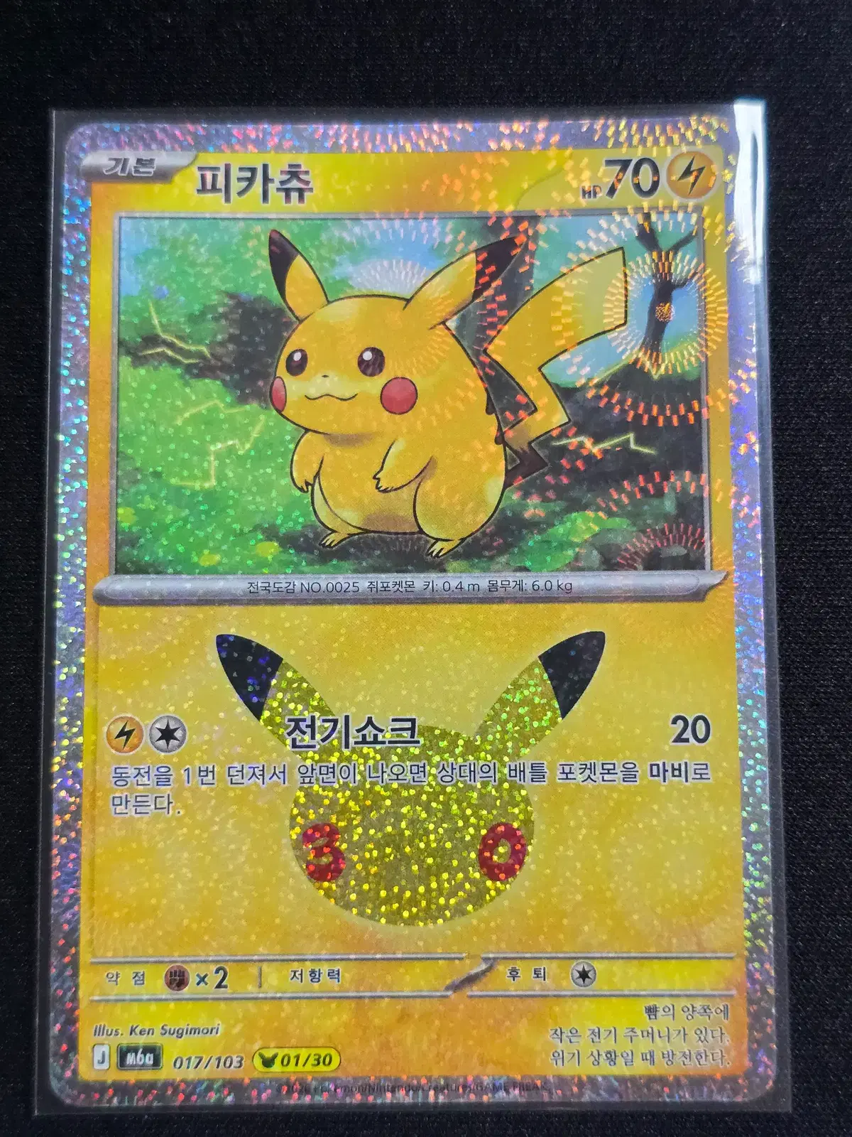 포켓몬 30주년 피카츄(1,2,13,14,15,18,20,21,22,30)