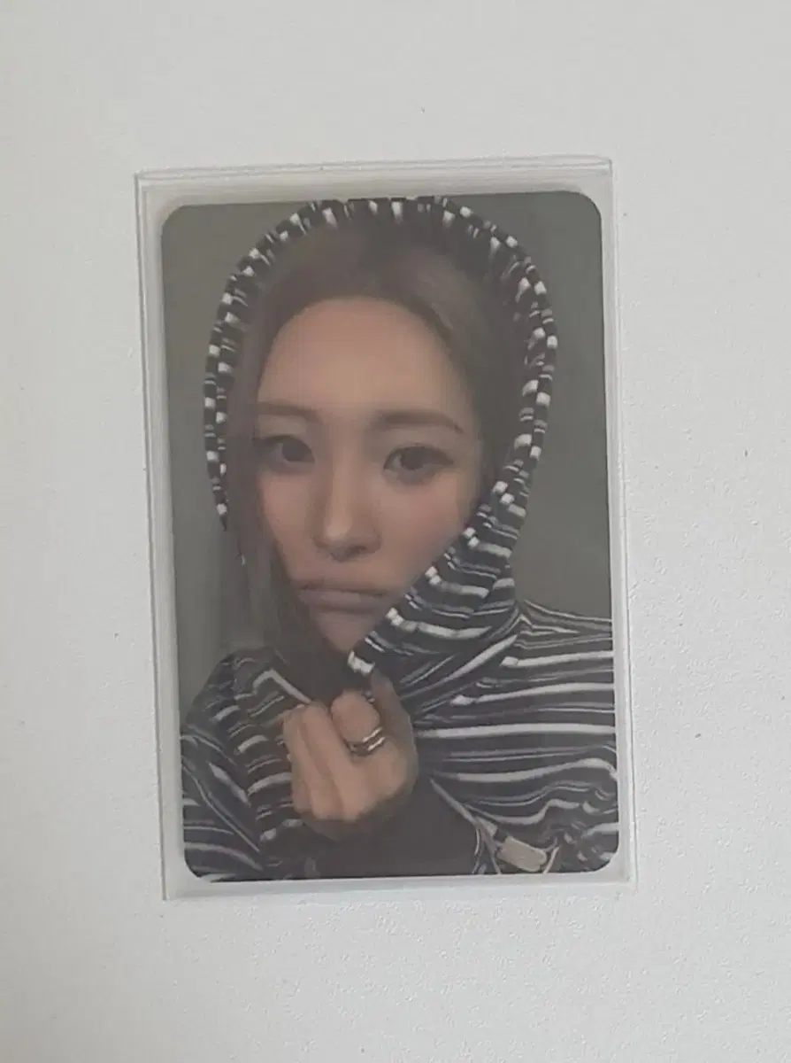 선미 forever july 공방 포토카드