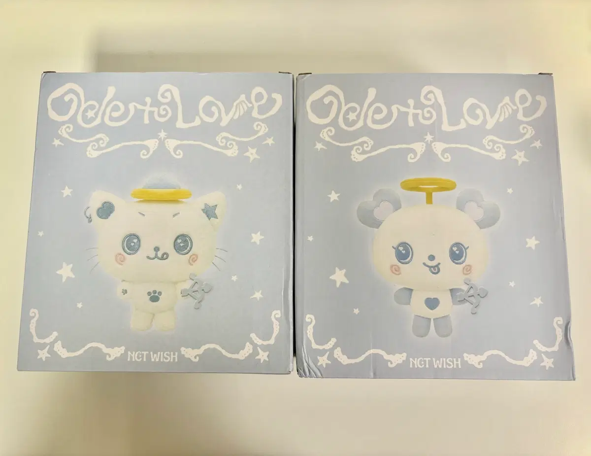 엔시티위시 오드투러브 KMS 천사 위시돌 쿠리 팡이 리쿠 사쿠야
