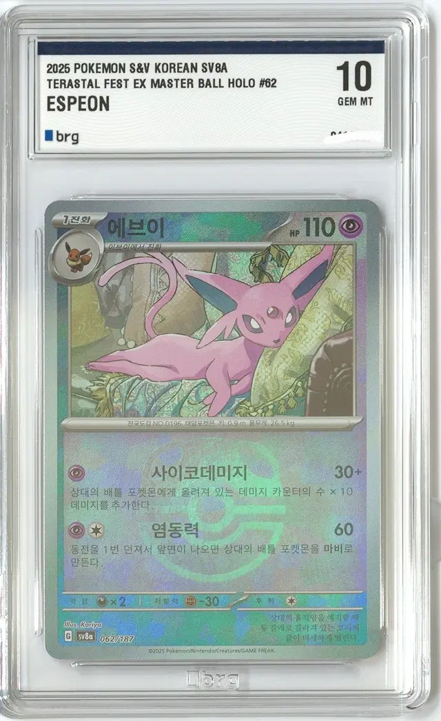 포켓몬카드 테라스탈페스타 에브이 마스터볼 홀러 brg10등급