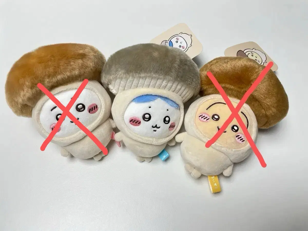 하치와레 버섯 마스코트