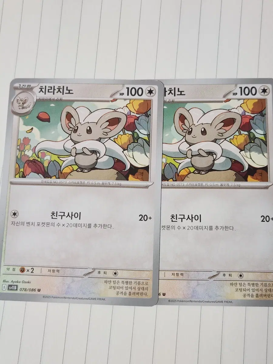 포켓몬카드 치라치노 sv11B