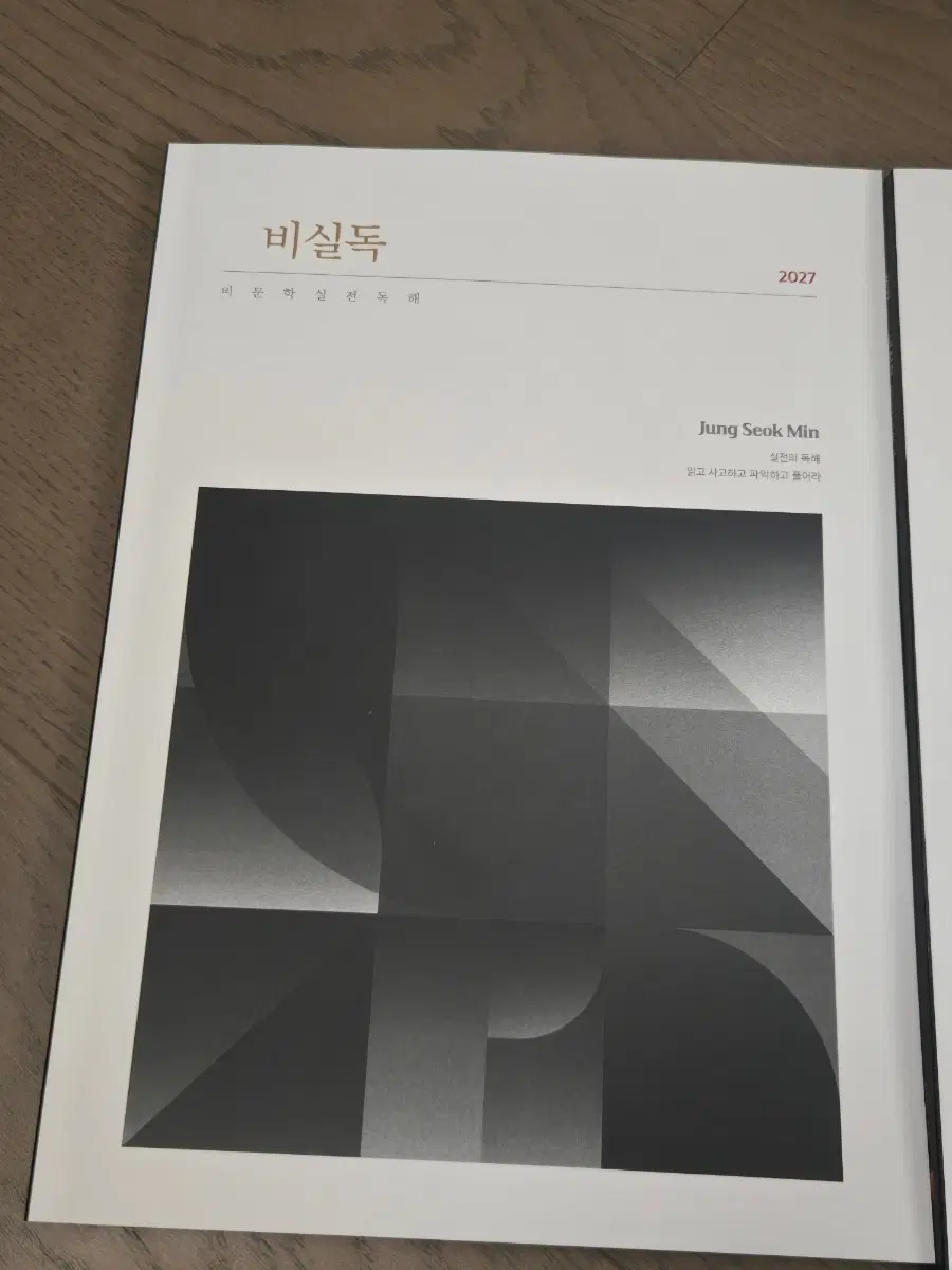 정석민 비실독