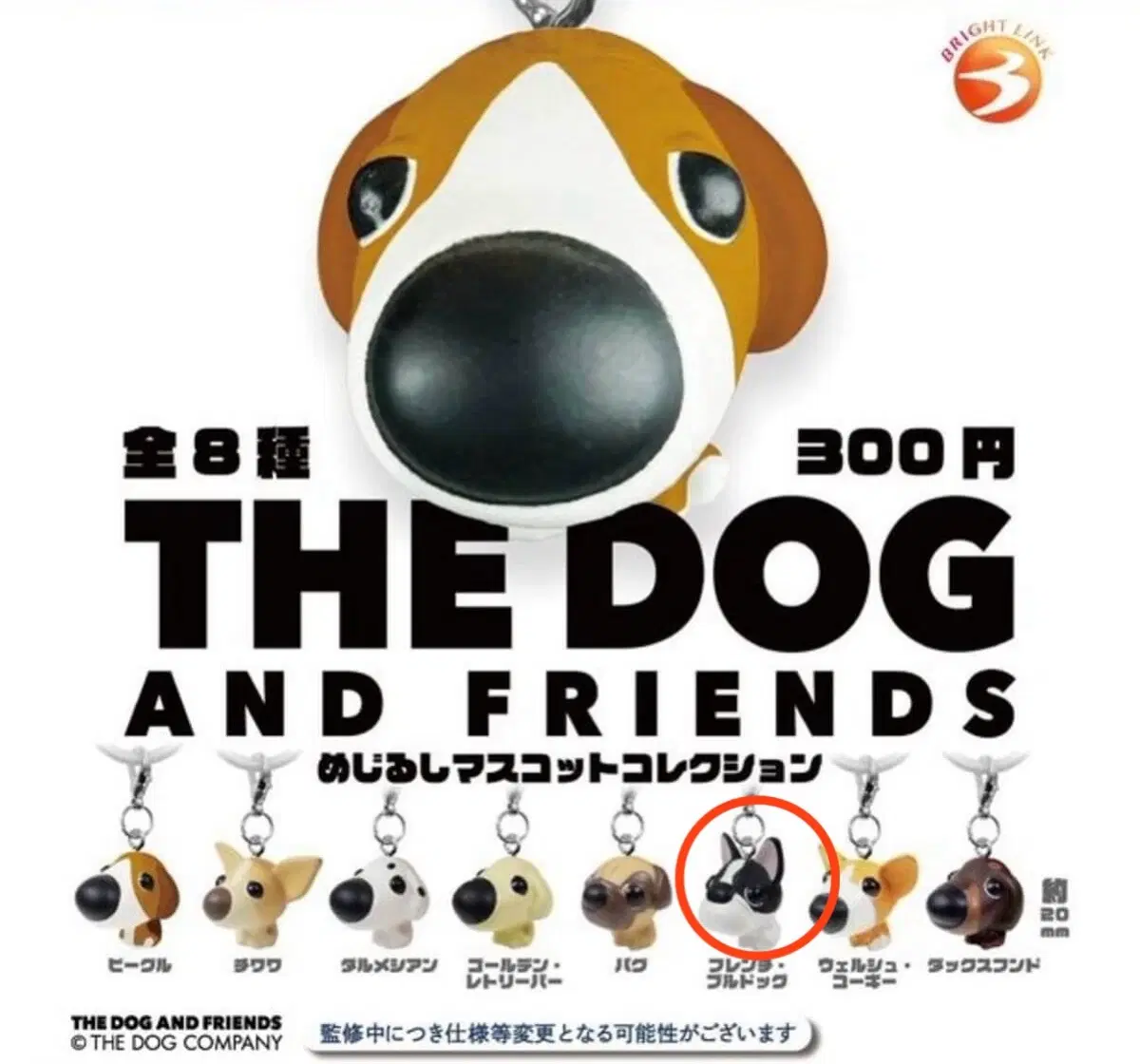 더도그 메지루시 프렌치 불독