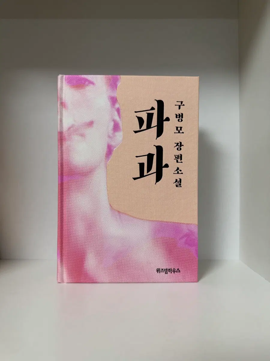파과 구병모 장편소설 책