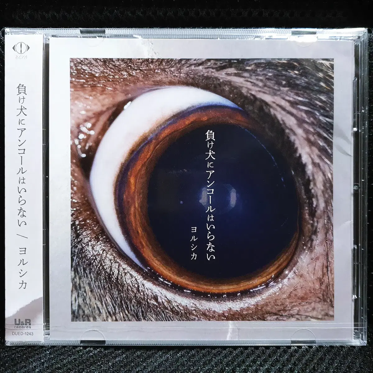요루시카 패배자에게 앵콜은 필요 없어 CD 미개봉 신품