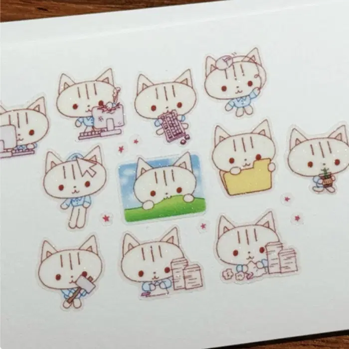 베베 업무과다 고양씨 키스컷