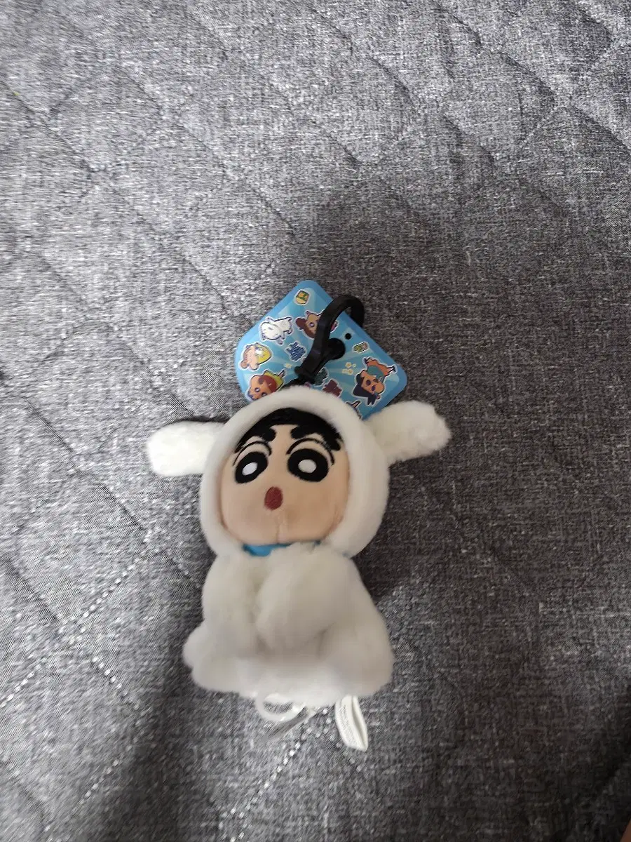흰둥이 짱구 팝니다