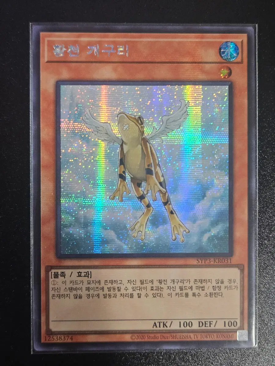 유희왕 황천 개구리 SE (시크)