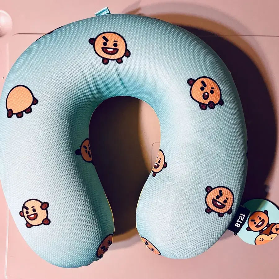 BT21 슈키 여행용 메쉬 메모리폼 목베개