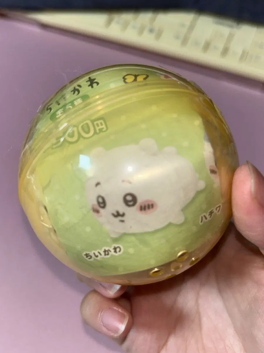 치이카와 우사기 누이 미개봉