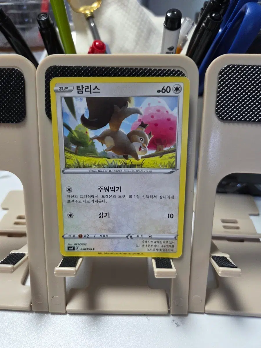 포켓몬카드 탐리스 기본 60LP