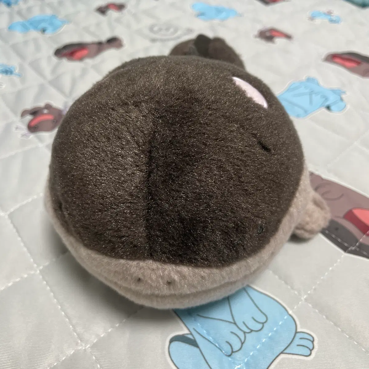 포켓몬 토오 너로정했다 인형