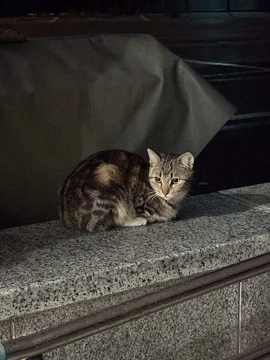 여성건강 대간협 pdf삽니다