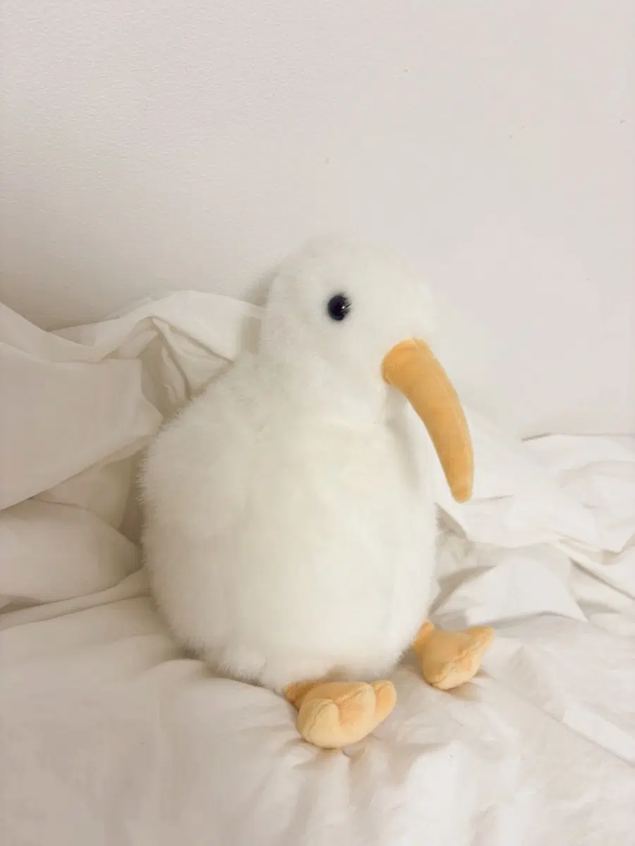 키위새 인형