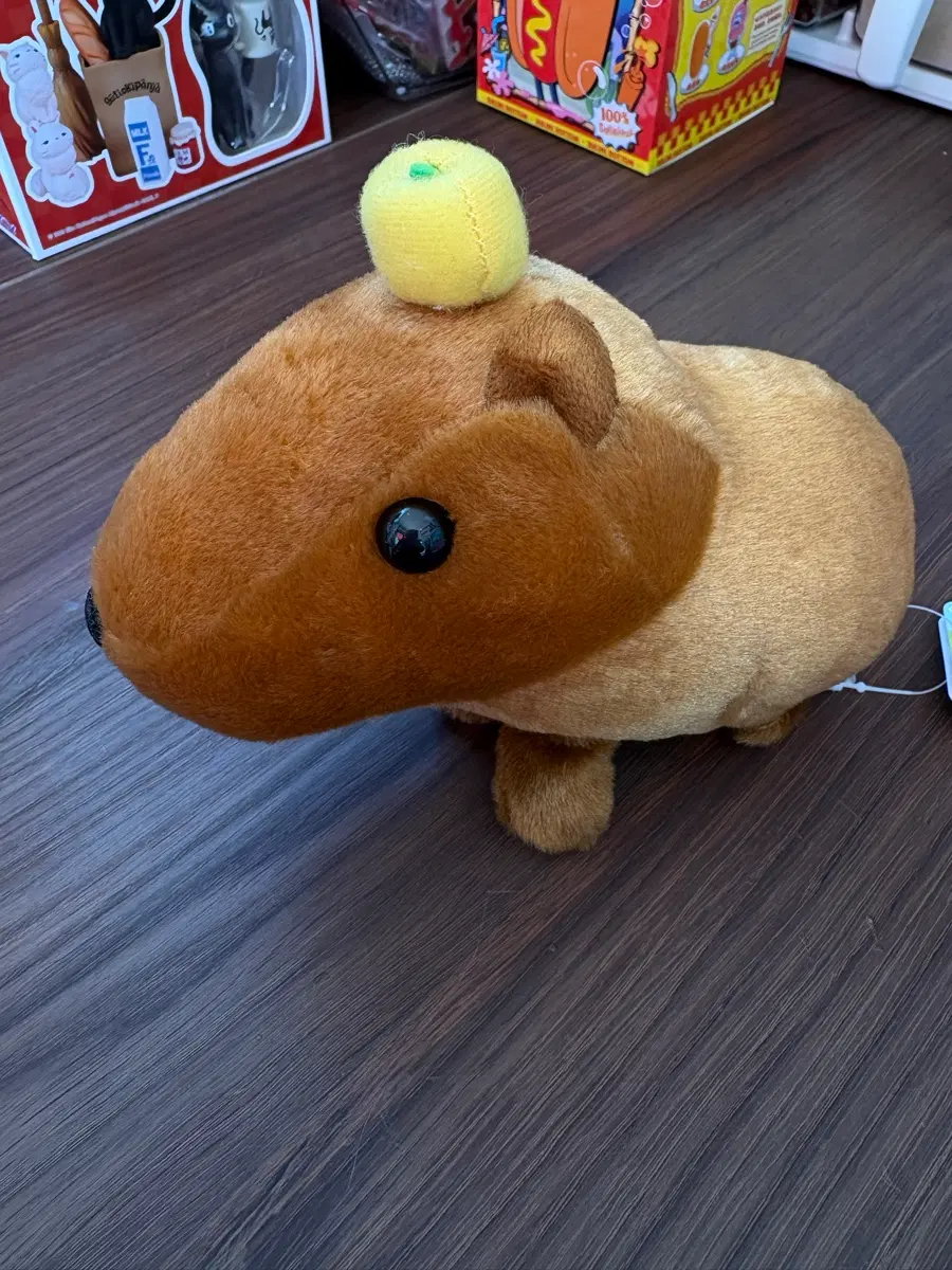 귤 카피바라 인형
