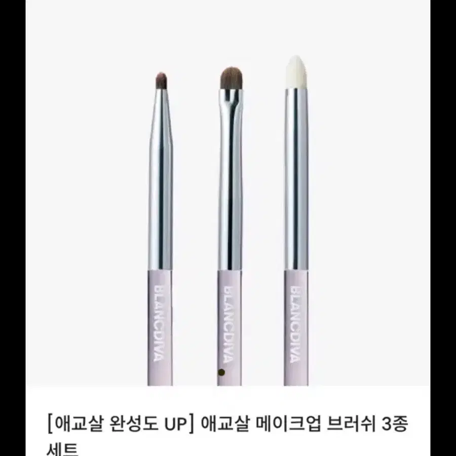 블랑디바 홍주 애교살 브러쉬 삽니다