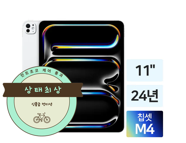아이패드 프로 11인치 M4 256GB Wi Fi S급