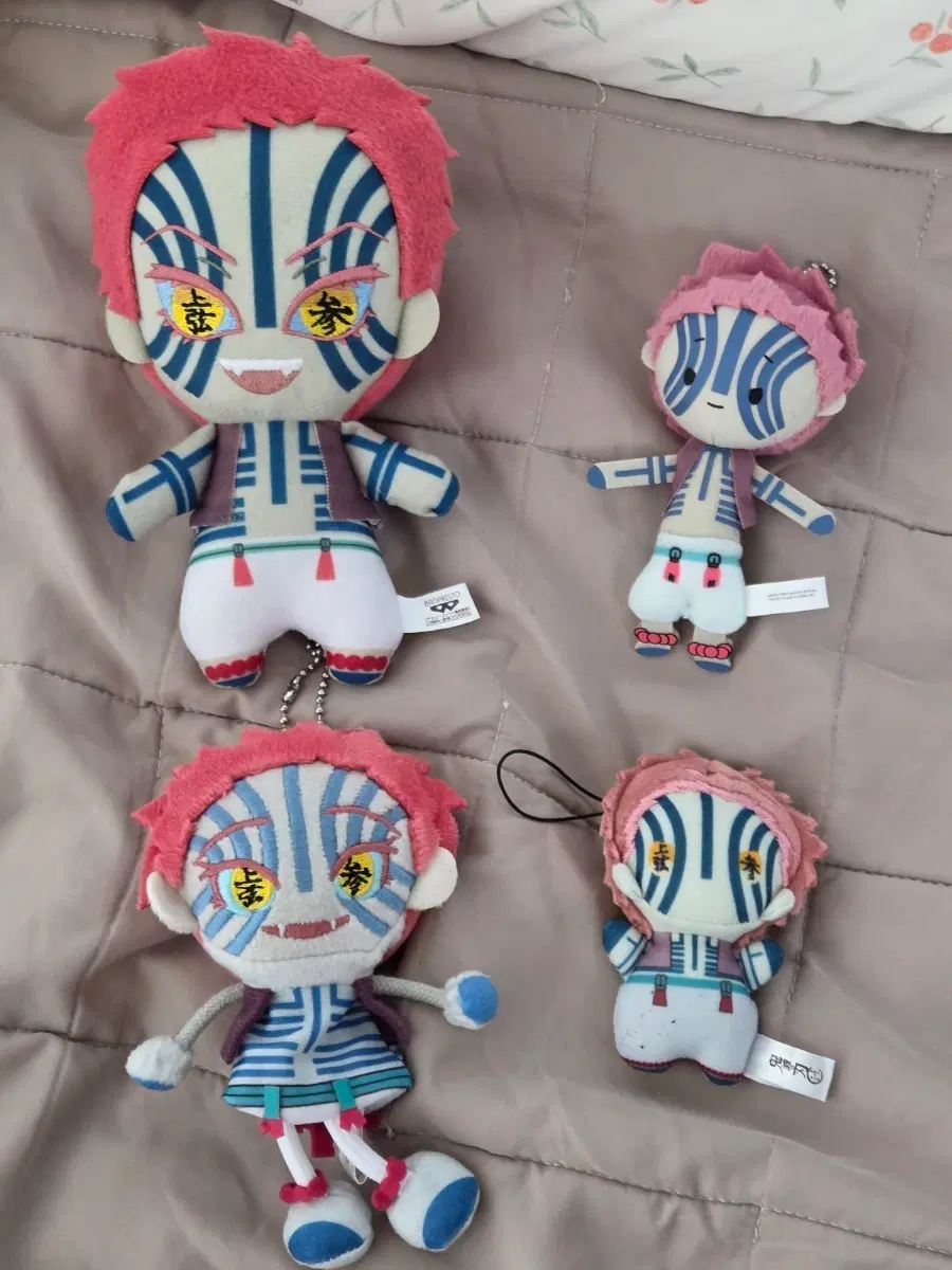 아카자 누이 일괄