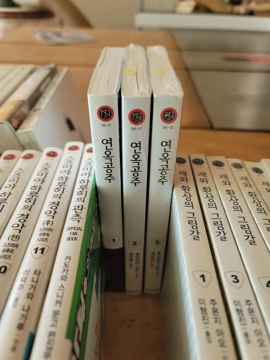 연옥공주 1-3