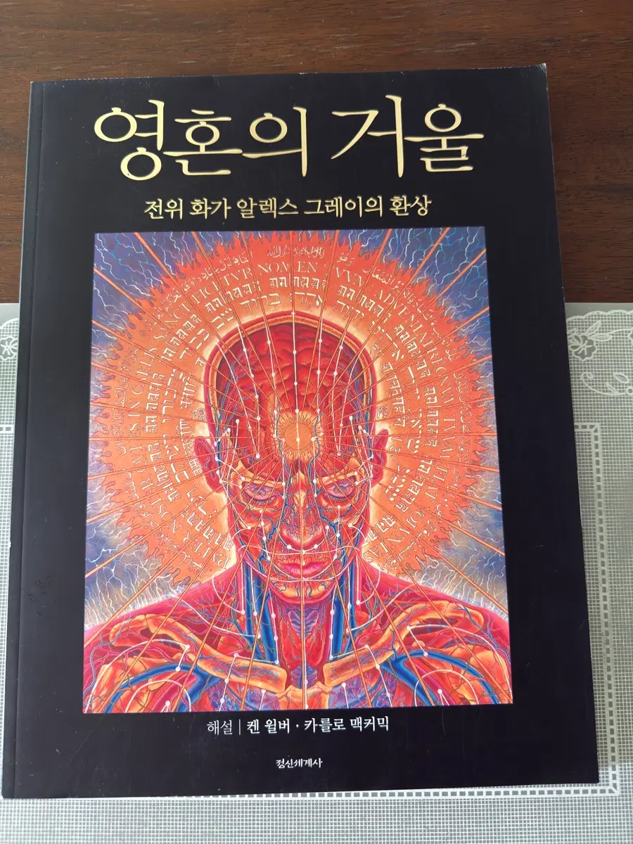 영혼의 거울 알렉스 그레이 전시회 도록 (전위 화가) 희귀 절판 도록