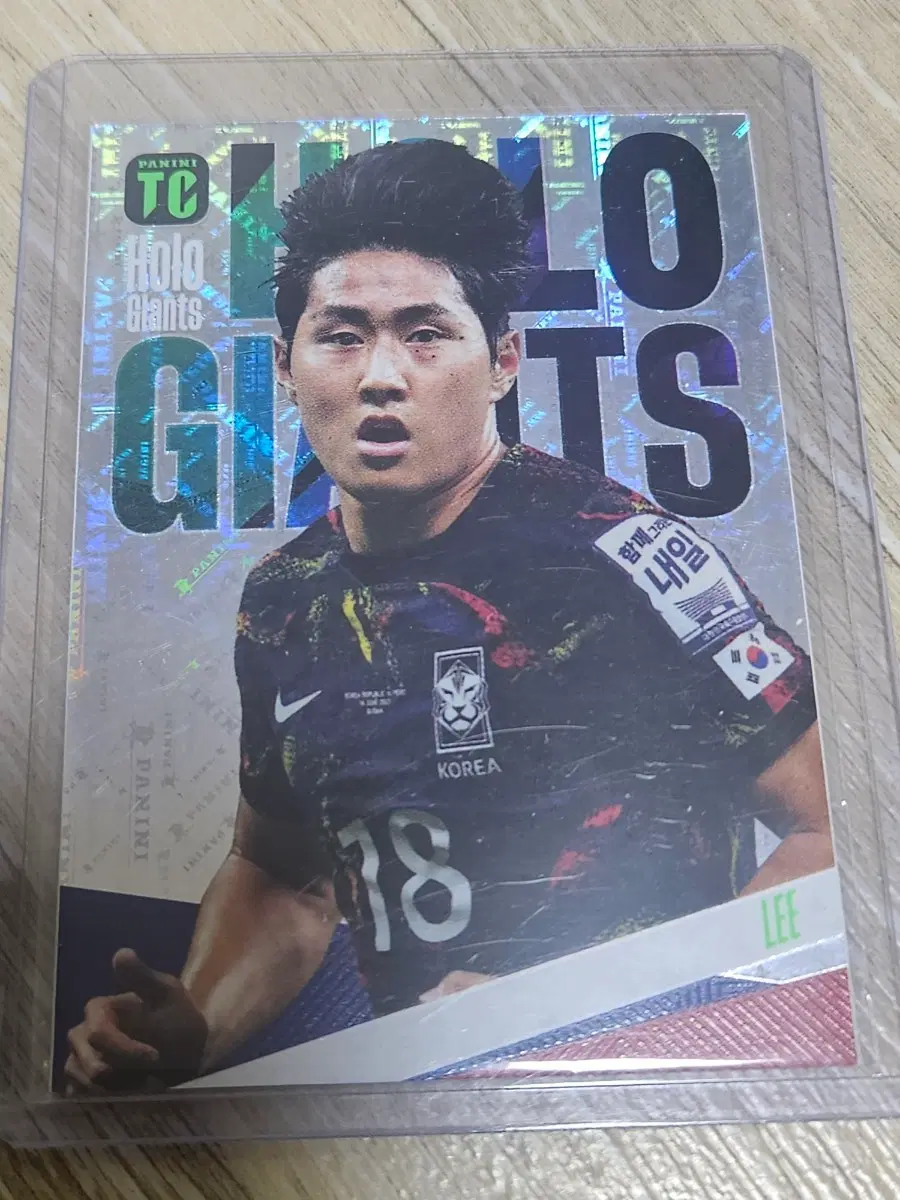 파니니 홀로 자이언츠 축구 카드 이강인