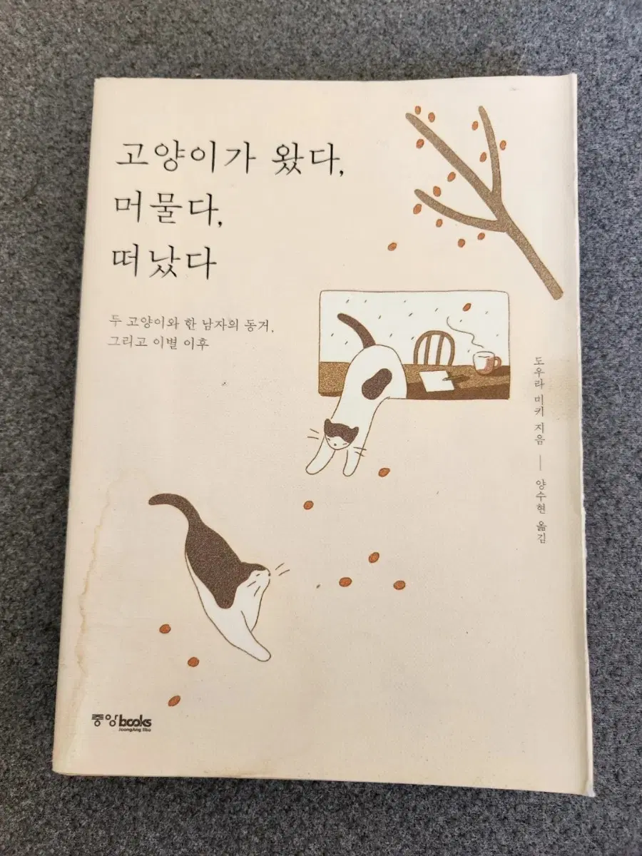 서적 고양이가 왔다 머물다 떠났다