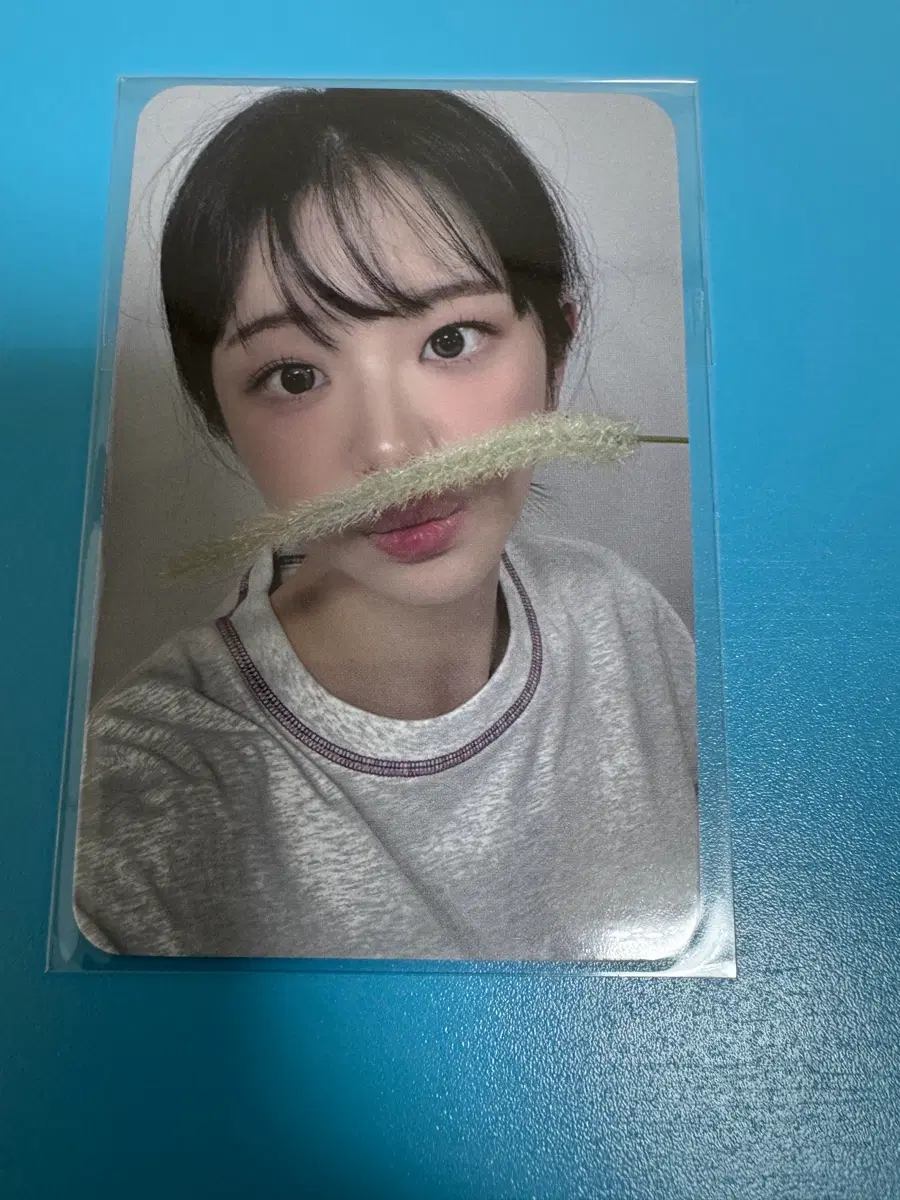 QWER 쵸단 디어마이뮤즈 디마뮤 영통 팬싸인회 특전 포카 미공포