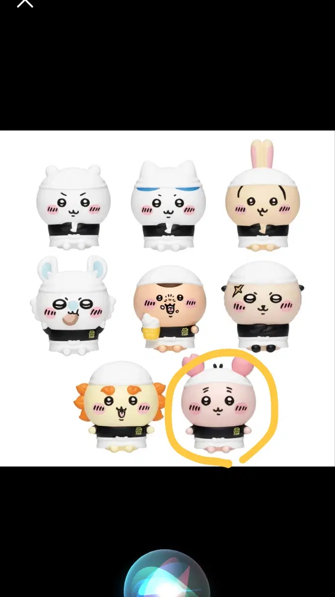 치이카와 라멘 소프비 (카니) 배송비 무료!!