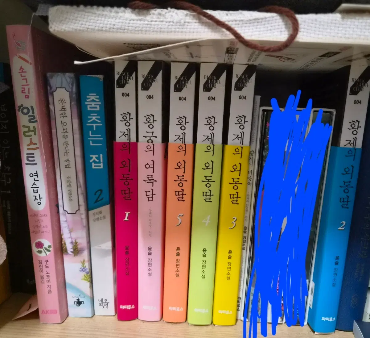 황제의 외동딸 전권 세트 (1-5권+외전) + 그 외 소설 및 책