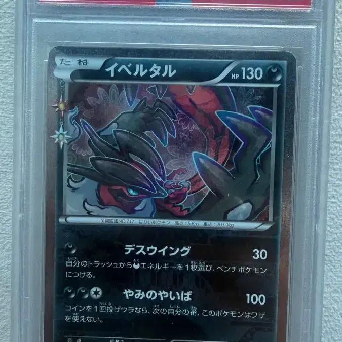 포켓몬 PSA 10 2016 포켓몬카드 XY 이벨타르 1st 에디션