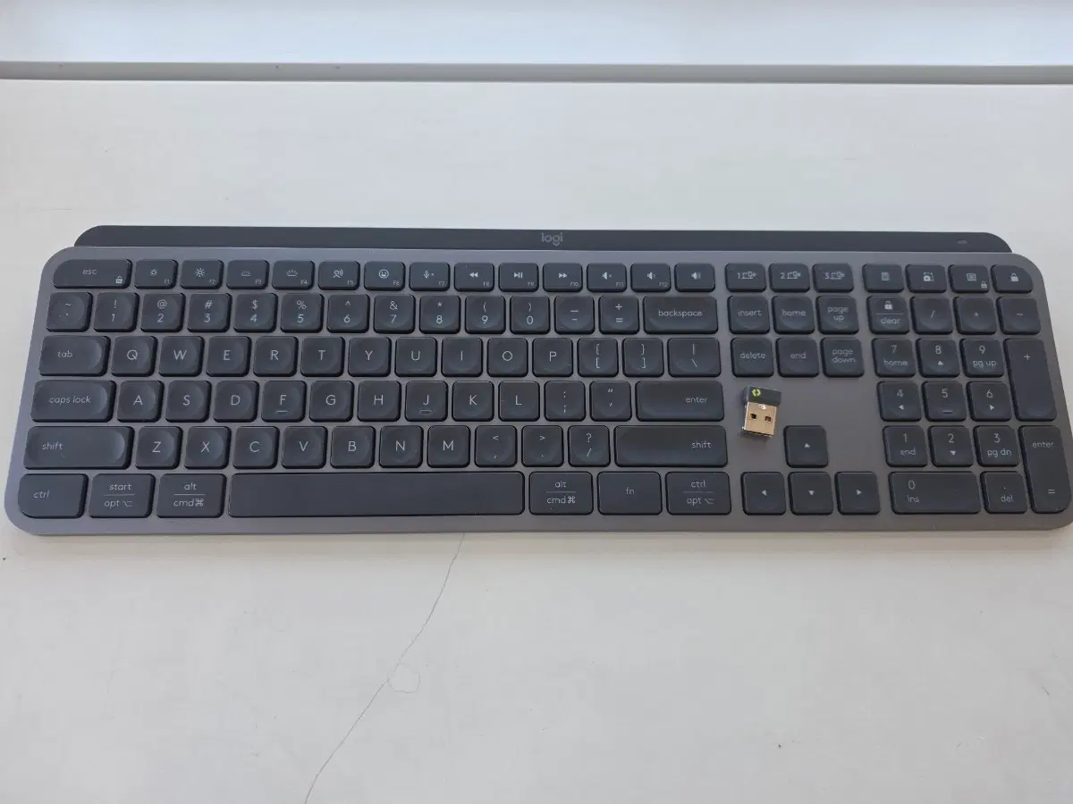 로지텍 MXkeys 키보드 + 썬더볼트 USB 수신기 포함
