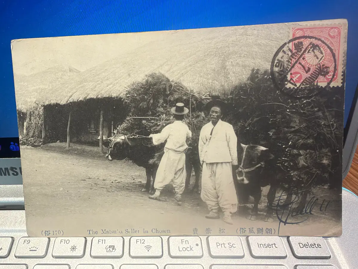 1911년 - 조선시대 말기 서민들의 송엽 채취 및 우마차 운반 - 프랑스 행 실체