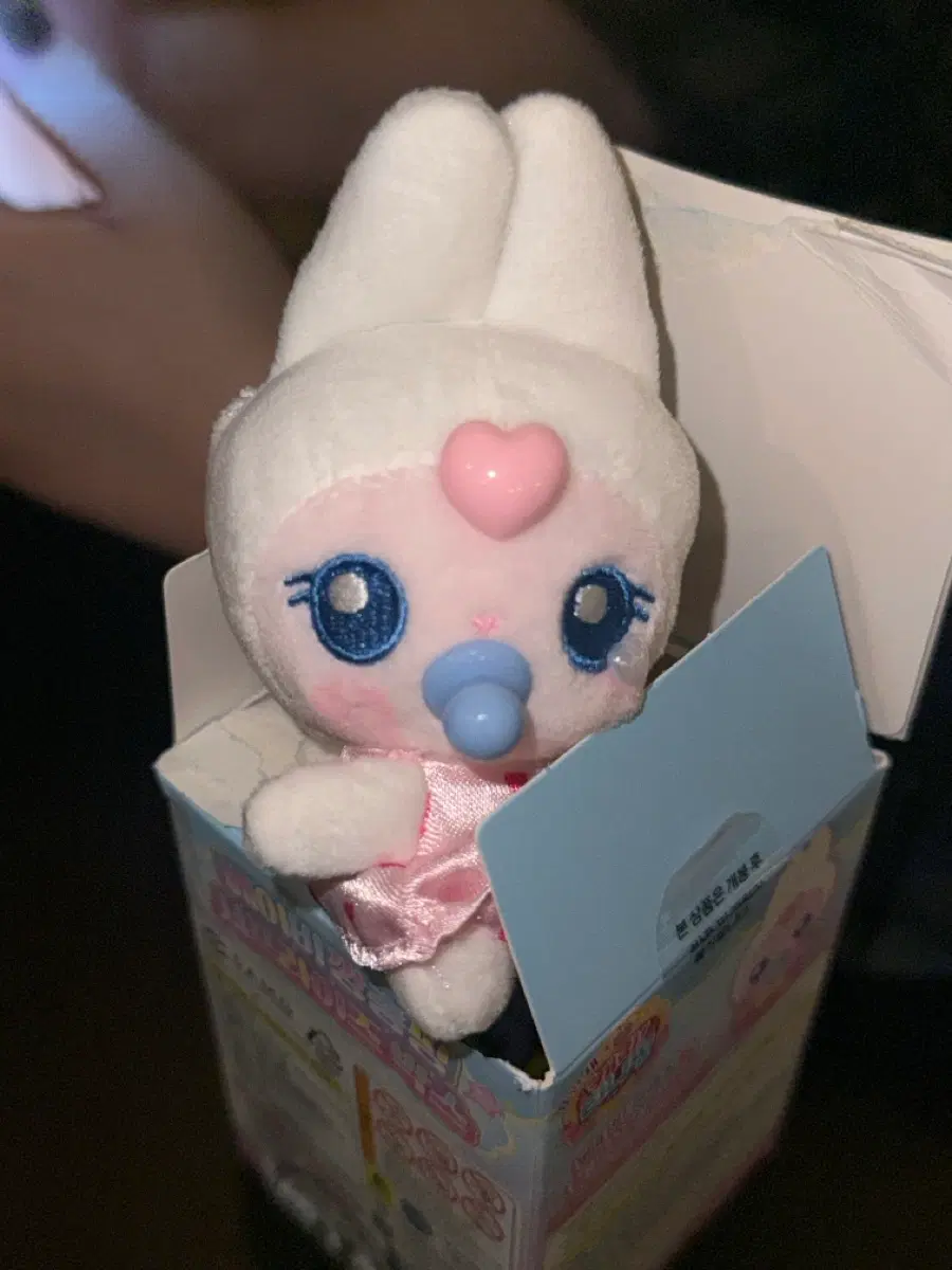 베이비 깡총핑 인향