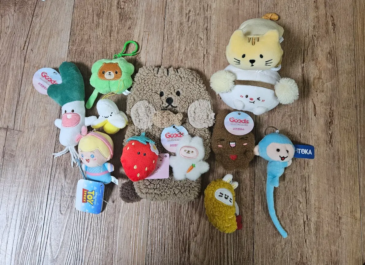 인형 일괄