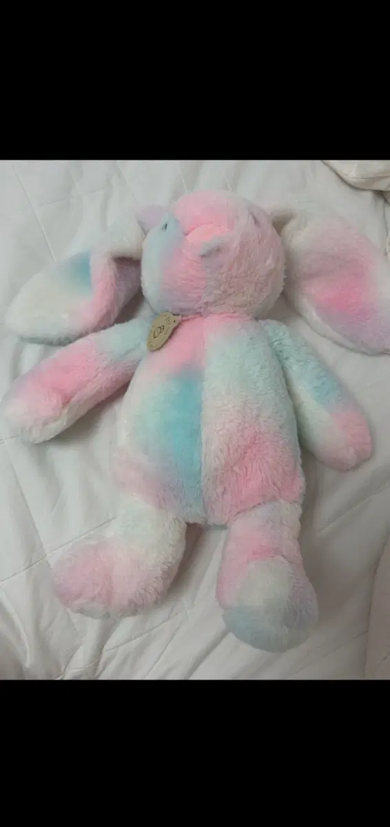 토끼인형 팝니당