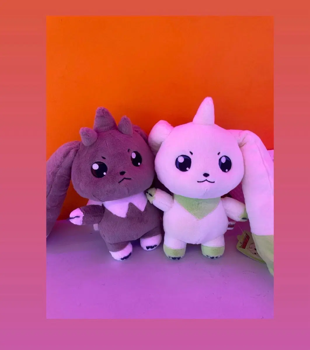 테리어몬 중형 일괄