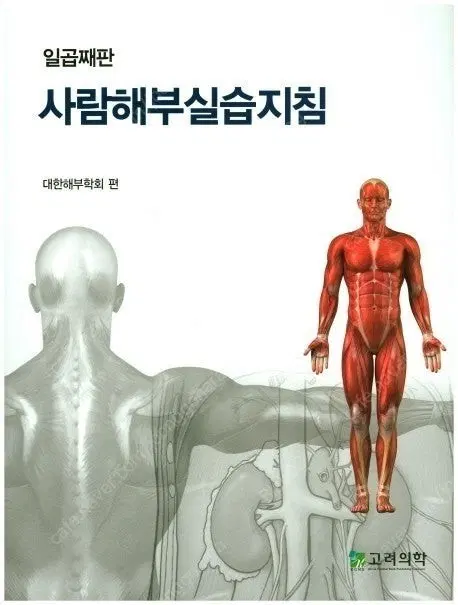 사람해부실습지침 교과서 판매합니다