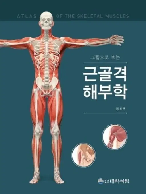 그림으로 보는 근골격 해부학 도서