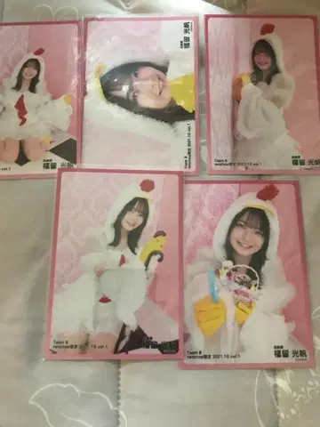 AKB48 팀8 생사진 컴프 5종 후쿠도메 미츠호 간지