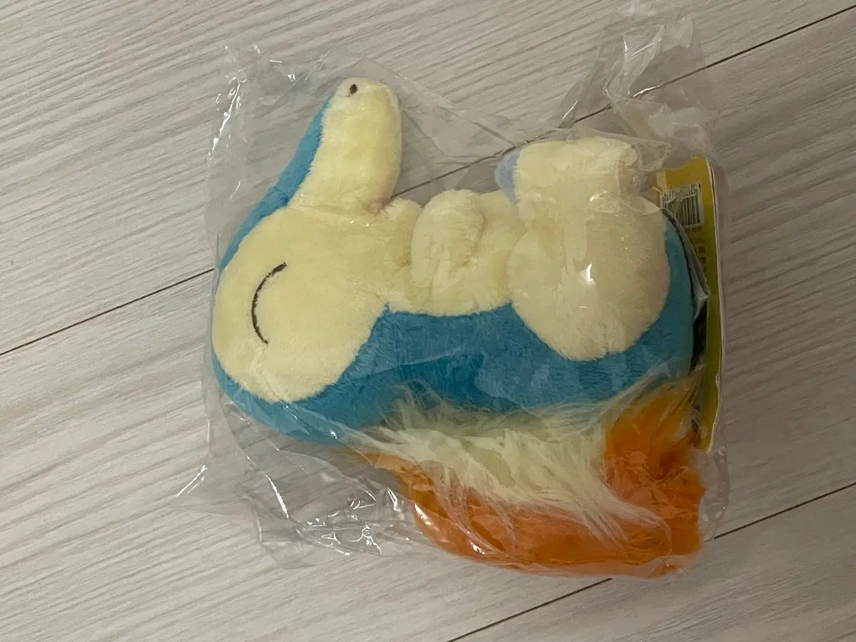 포켓몬 캔버스 브케인 인형
