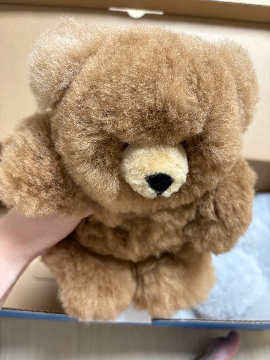 알파카 곰인형