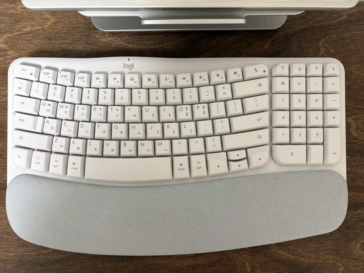 로지텍 Wave Keys for Mac 맥용 키보드