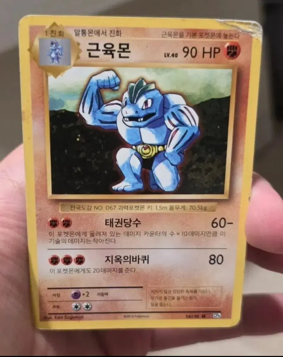 포켓몬카드 근육몬 CP6