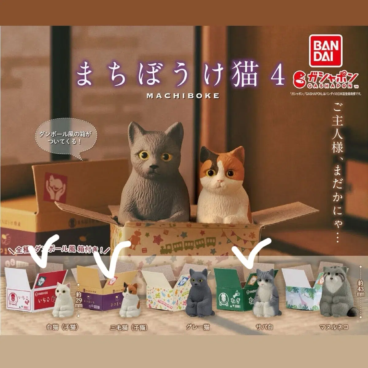 반다이 가샤폰 마찌보케 고양이 4탄 3종 일괄