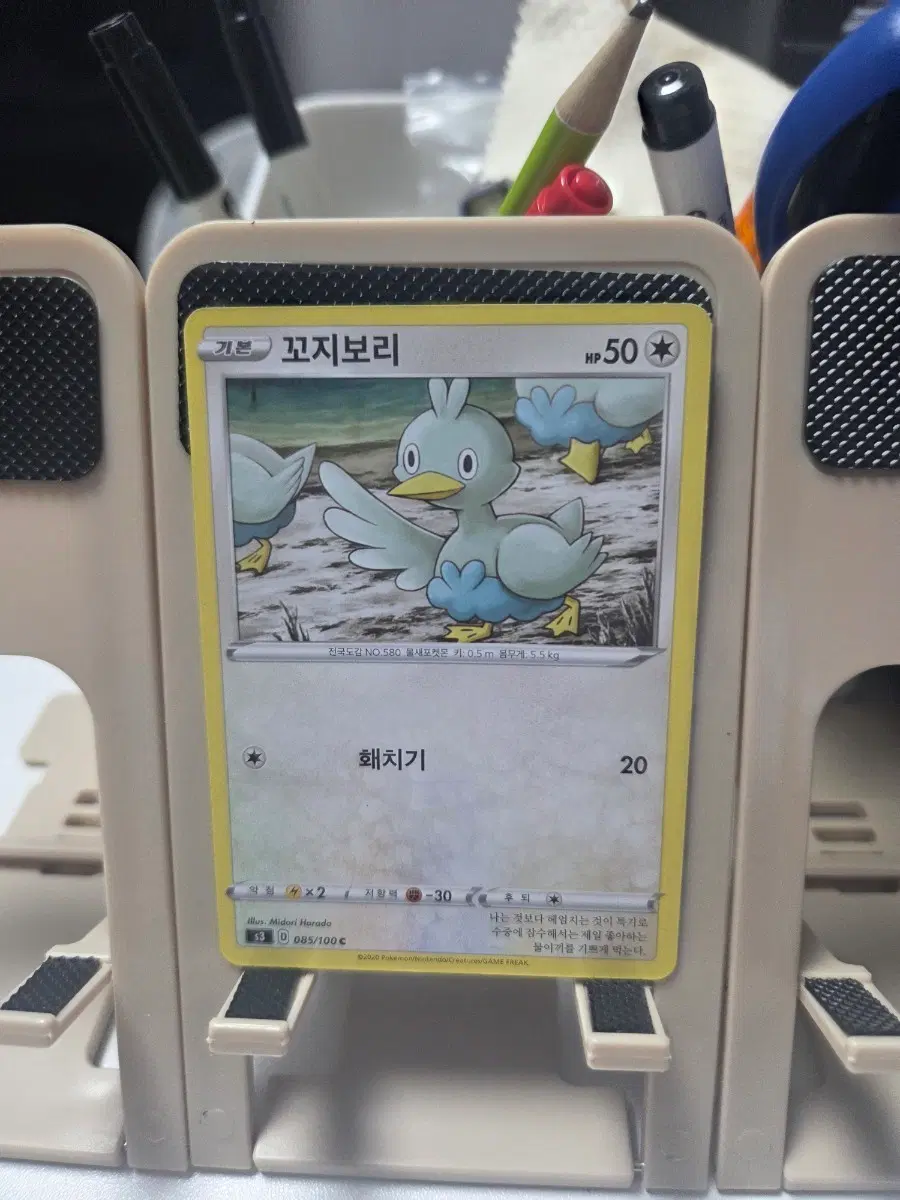 포켓몬 카드 꼬지보리