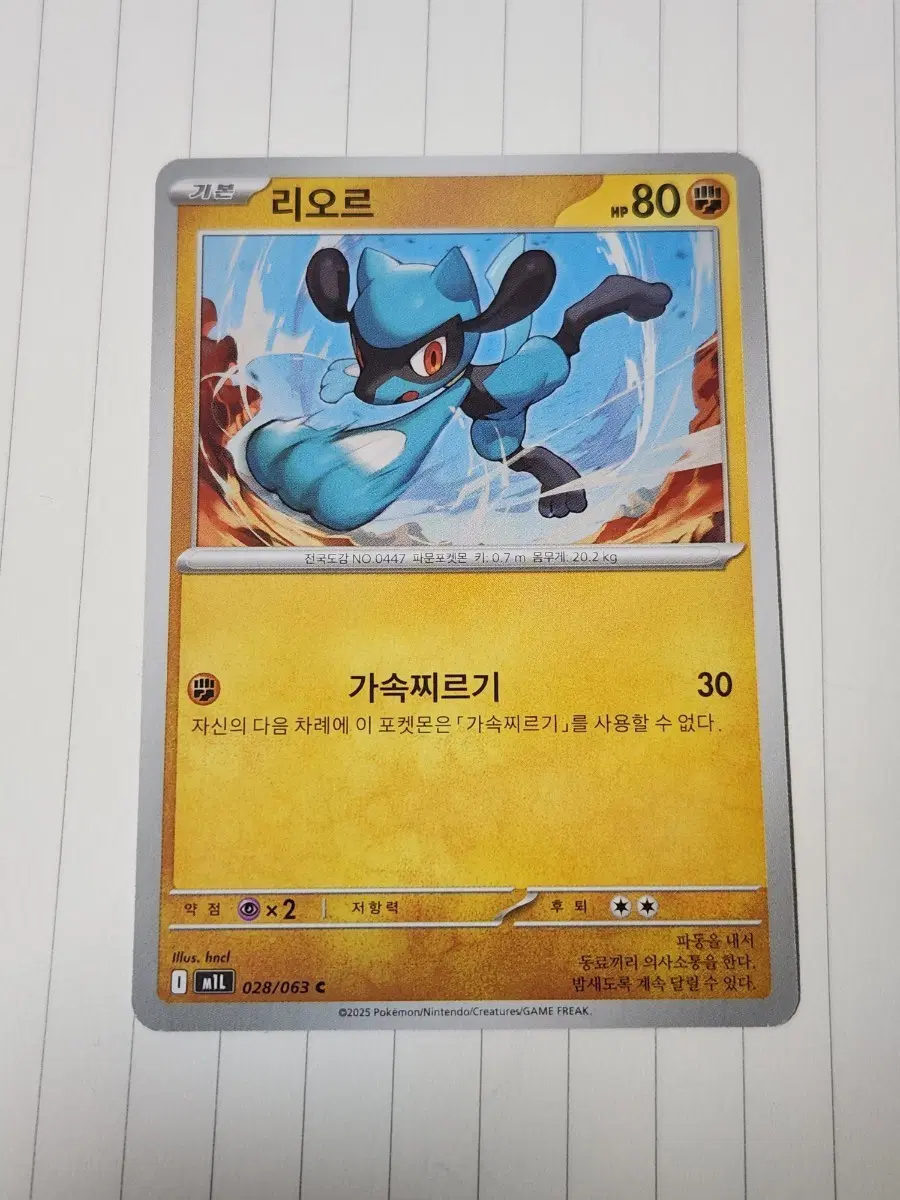 포켓몬 카드 리오르