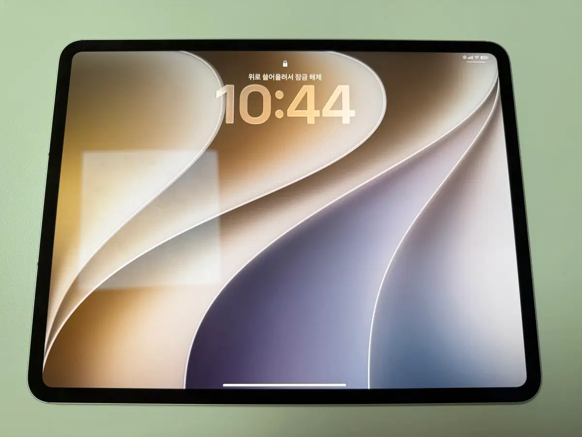 iPad Pro 13 M5 셀룰러 256GB 실버 애케플 풀박