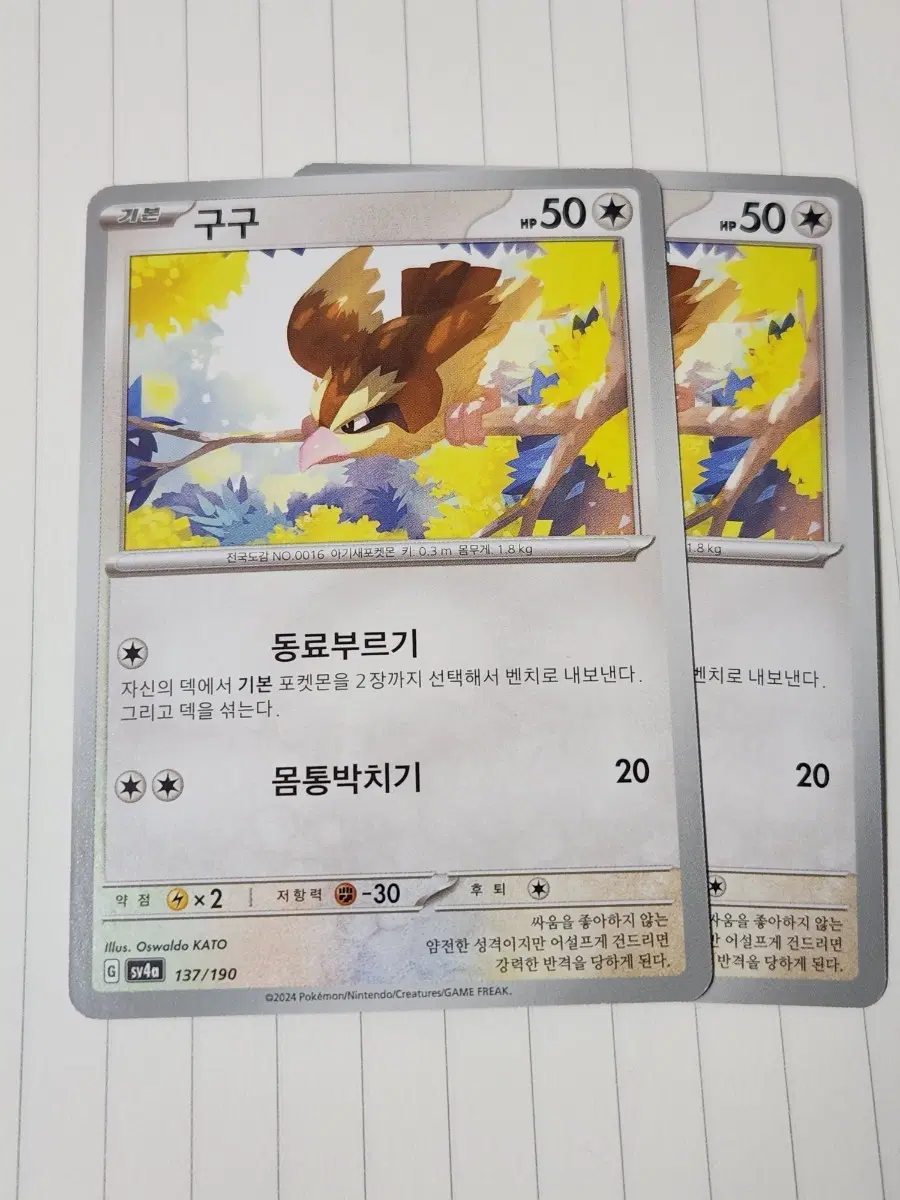 포켓몬 카드 구구 137/190 sv4a